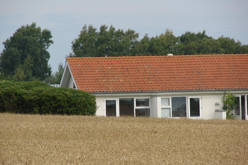 Sandkaas Family Camping & Cottages Allinge-Sandvig Rum bild