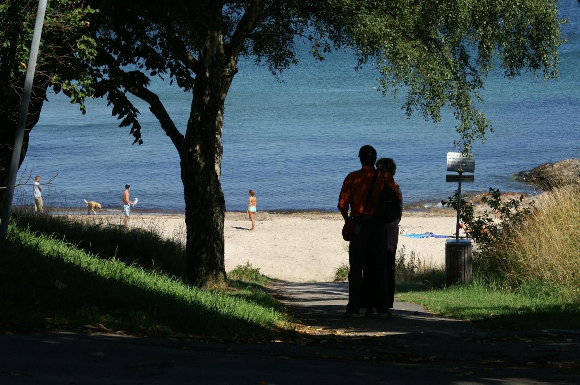 Sandkaas Family Camping & Cottages Allinge-Sandvig Exteriör bild